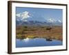 Mt. Mckinley, Denali National Park, Alaska, USA-Hugh Rose-Framed Photographic Print