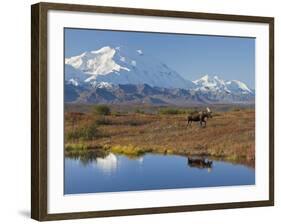 Mt. Mckinley, Denali National Park, Alaska, USA-Hugh Rose-Framed Photographic Print