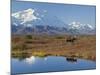 Mt. Mckinley, Denali National Park, Alaska, USA-Hugh Rose-Mounted Photographic Print