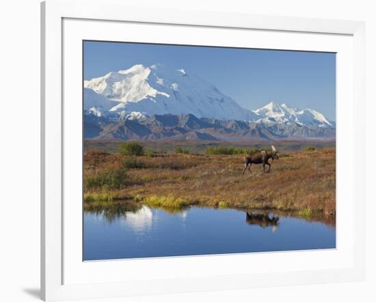 Mt. Mckinley, Denali National Park, Alaska, USA-Hugh Rose-Framed Photographic Print