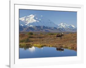 Mt. Mckinley, Denali National Park, Alaska, USA-Hugh Rose-Framed Photographic Print