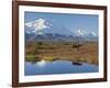 Mt. Mckinley, Denali National Park, Alaska, USA-Hugh Rose-Framed Photographic Print