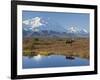 Mt. Mckinley, Denali National Park, Alaska, USA-Hugh Rose-Framed Photographic Print