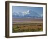 Mt. Mckinley, Denali National Park, Alaska, USA-Hugh Rose-Framed Premium Photographic Print