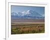 Mt. Mckinley, Denali National Park, Alaska, USA-Hugh Rose-Framed Photographic Print