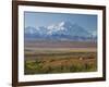 Mt. Mckinley, Denali National Park, Alaska, USA-Hugh Rose-Framed Photographic Print