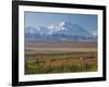 Mt. Mckinley, Denali National Park, Alaska, USA-Hugh Rose-Framed Photographic Print