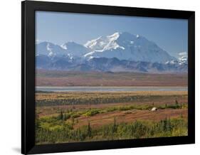 Mt. Mckinley, Denali National Park, Alaska, USA-Hugh Rose-Framed Photographic Print