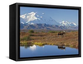 Mt. Mckinley, Denali National Park, Alaska, USA-Hugh Rose-Framed Stretched Canvas