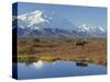 Mt. Mckinley, Denali National Park, Alaska, USA-Hugh Rose-Stretched Canvas