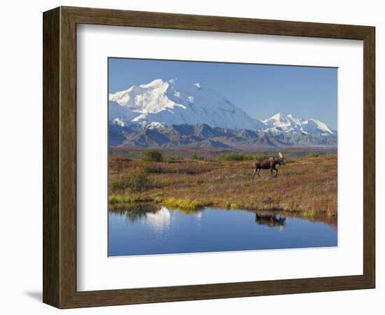 Mt. Mckinley, Denali National Park, Alaska, USA-Hugh Rose-Framed Photographic Print