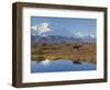 Mt. Mckinley, Denali National Park, Alaska, USA-Hugh Rose-Framed Photographic Print