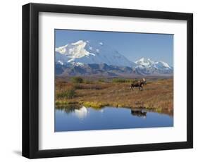 Mt. Mckinley, Denali National Park, Alaska, USA-Hugh Rose-Framed Photographic Print