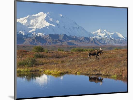 Mt. Mckinley, Denali National Park, Alaska, USA-Hugh Rose-Mounted Photographic Print