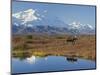 Mt. Mckinley, Denali National Park, Alaska, USA-Hugh Rose-Mounted Photographic Print