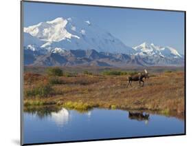 Mt. Mckinley, Denali National Park, Alaska, USA-Hugh Rose-Mounted Photographic Print