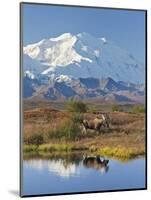 Mt. Mckinley, Denali National Park, Alaska, USA-Hugh Rose-Mounted Photographic Print