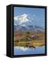 Mt. Mckinley, Denali National Park, Alaska, USA-Hugh Rose-Framed Stretched Canvas