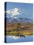 Mt. Mckinley, Denali National Park, Alaska, USA-Hugh Rose-Stretched Canvas