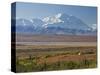 Mt. Mckinley, Denali National Park, Alaska, USA-Hugh Rose-Stretched Canvas