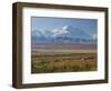 Mt. Mckinley, Denali National Park, Alaska, USA-Hugh Rose-Framed Photographic Print