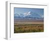 Mt. Mckinley, Denali National Park, Alaska, USA-Hugh Rose-Framed Photographic Print