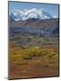 Mt. Mckinley, Denali National Park, Alaska, USA-Hugh Rose-Mounted Premium Photographic Print