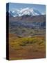 Mt. Mckinley, Denali National Park, Alaska, USA-Hugh Rose-Stretched Canvas