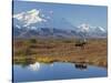 Mt. Mckinley, Denali National Park, Alaska, USA-Hugh Rose-Stretched Canvas