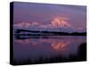 Mt. McKinley Reflected in Pond, Denali National Park, Alaska, USA-Hugh Rose-Stretched Canvas