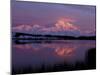 Mt. McKinley Reflected in Pond, Denali National Park, Alaska, USA-Hugh Rose-Mounted Premium Photographic Print