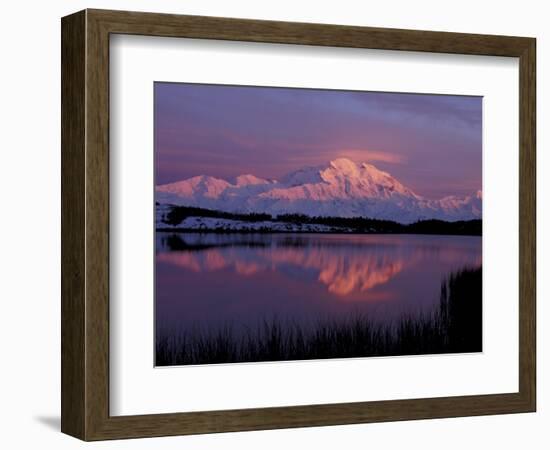 Mt. McKinley Reflected in Pond, Denali National Park, Alaska, USA-Hugh Rose-Framed Photographic Print