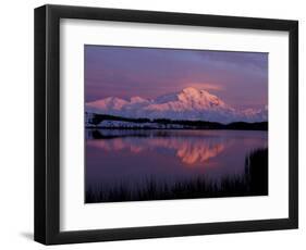 Mt. McKinley Reflected in Pond, Denali National Park, Alaska, USA-Hugh Rose-Framed Photographic Print