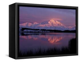 Mt. McKinley Reflected in Pond, Denali National Park, Alaska, USA-Hugh Rose-Framed Stretched Canvas