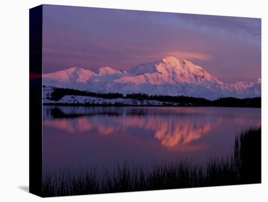 Mt. McKinley Reflected in Pond, Denali National Park, Alaska, USA-Hugh Rose-Stretched Canvas