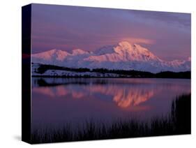 Mt. McKinley Reflected in Pond, Denali National Park, Alaska, USA-Hugh Rose-Stretched Canvas