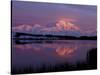 Mt. McKinley Reflected in Pond, Denali National Park, Alaska, USA-Hugh Rose-Stretched Canvas