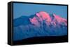 Mt. Mckinley-Howard Ruby-Framed Stretched Canvas