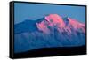 Mt. Mckinley-Howard Ruby-Framed Stretched Canvas