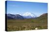 Mt. Mckinley-blackmarigolds-Stretched Canvas