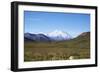 Mt. Mckinley-blackmarigolds-Framed Photographic Print