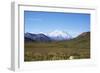 Mt. Mckinley-blackmarigolds-Framed Photographic Print