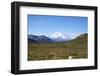 Mt. Mckinley-blackmarigolds-Framed Photographic Print