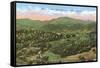 Mt. Mitchell, Burnsville, North Carolina-null-Framed Stretched Canvas