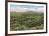 Mt. Mitchell, Burnsville, North Carolina-null-Framed Premium Giclee Print