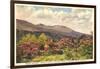 Mt. Mitchell, Western North Carolina-null-Framed Art Print