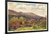 Mt. Mitchell, Western North Carolina-null-Framed Art Print