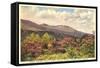 Mt. Mitchell, Western North Carolina-null-Framed Stretched Canvas