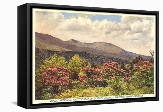 Mt. Mitchell, Western North Carolina-null-Framed Stretched Canvas