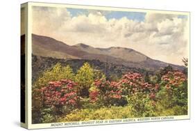 Mt. Mitchell, Western North Carolina-null-Stretched Canvas